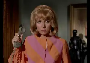 Young Frankenstein and Friends Star Teri Garr Dies at 79