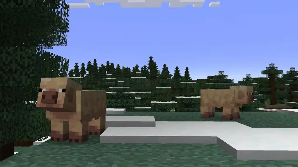 Minecraft Cold Pigs