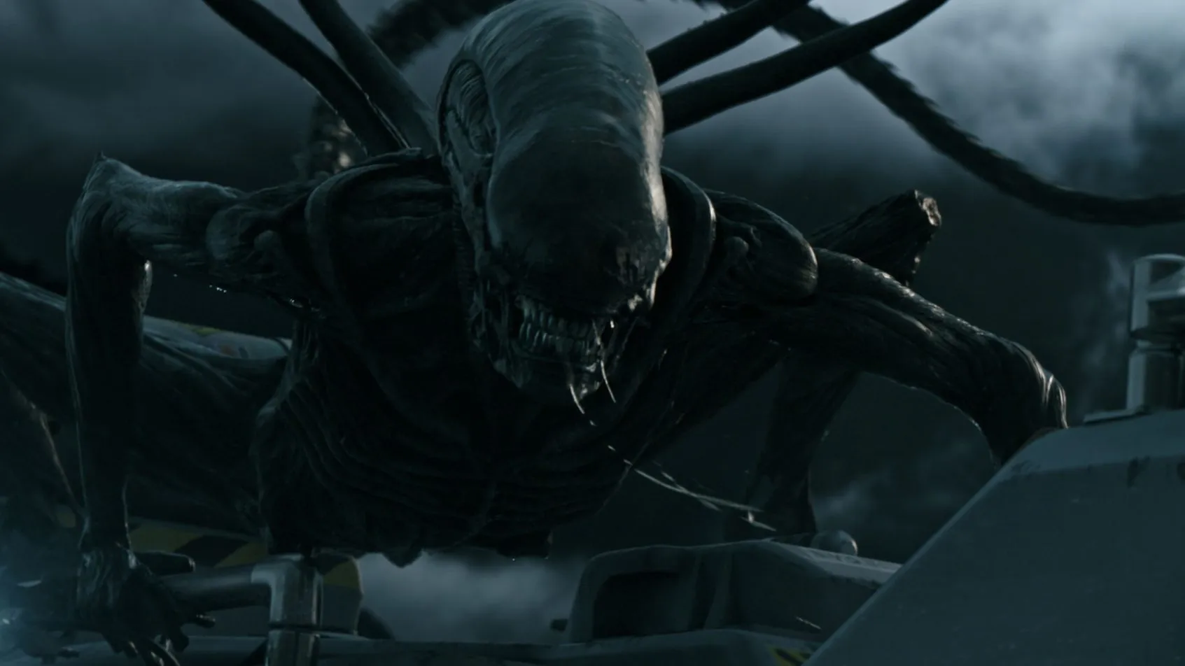 Xenomorphic climbs aboard ship in Alien: Covenant
