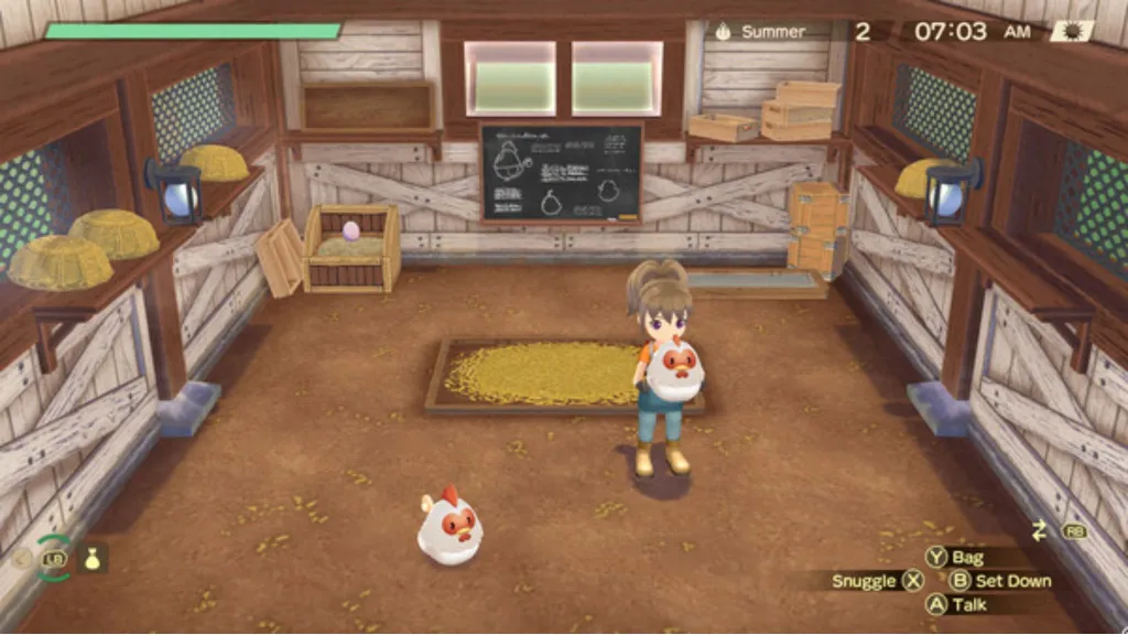 Story of Seasons A Wonderful Life Chickens