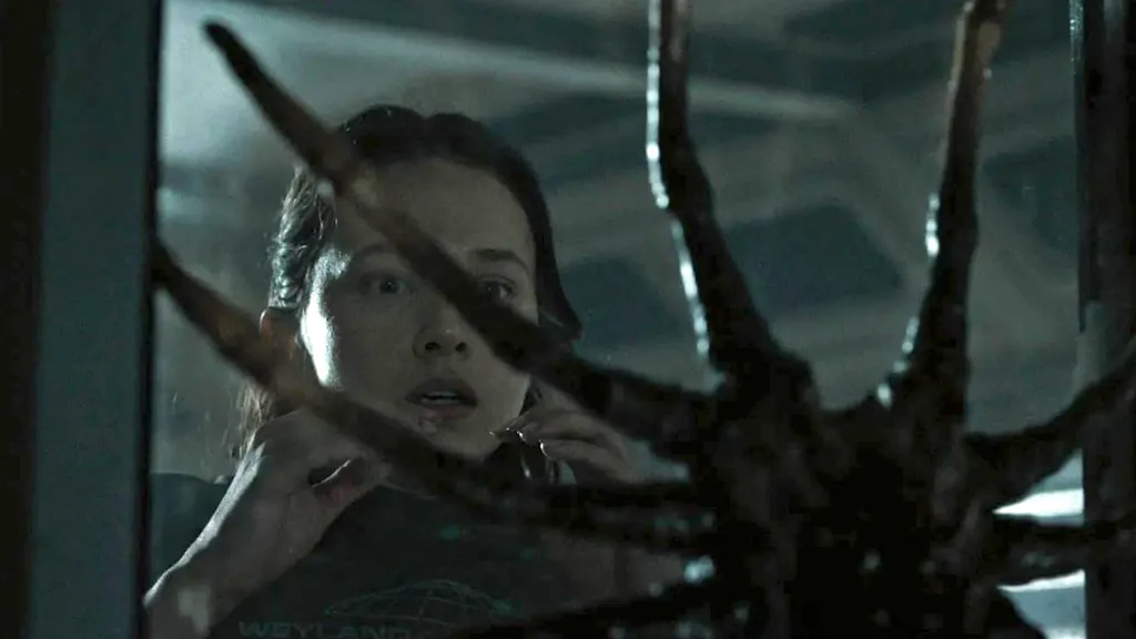 Cailee Spaeny looking at facehugger in Alien: Romulus