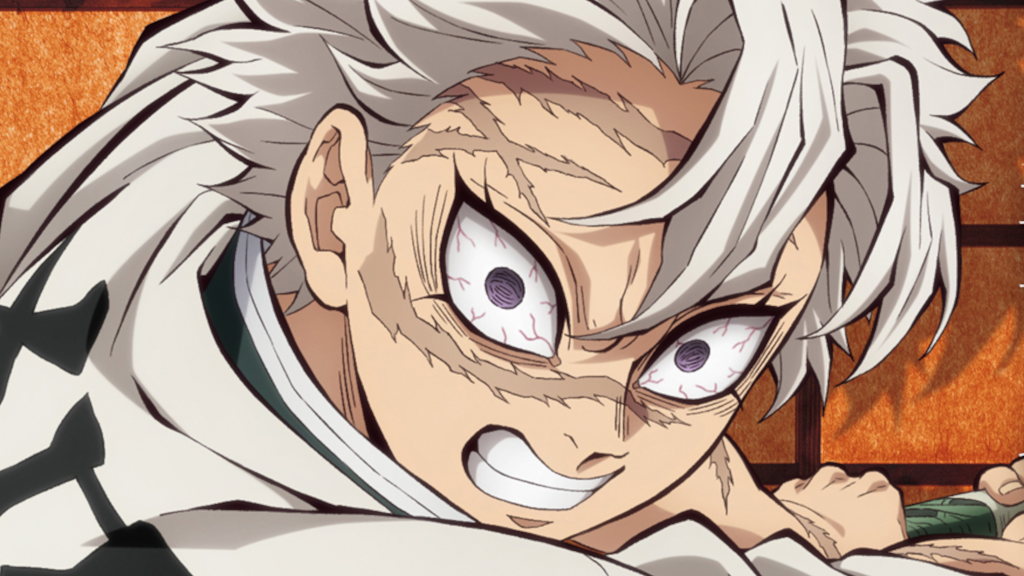 Demon Slayer Sanemi Infinity Castle closeup