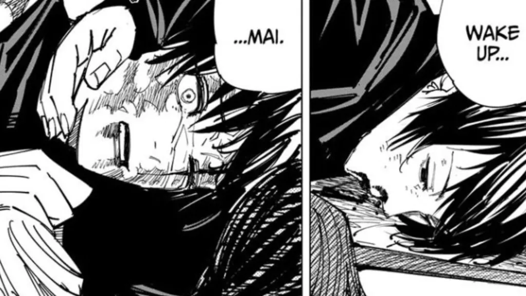 Mai and Maki Zenin Jujutsu Kaisen