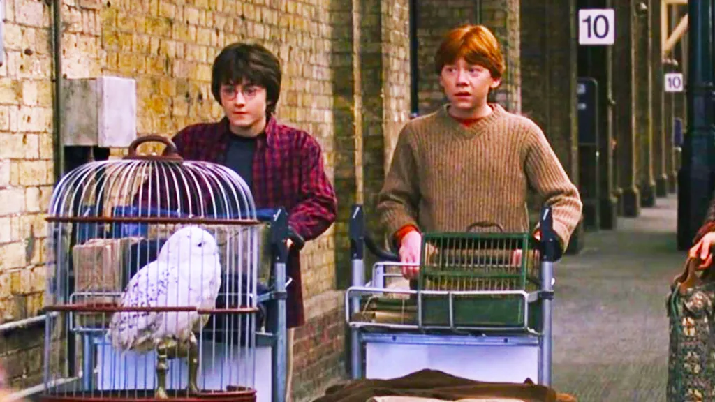 Harry Potter and Ron Weasley at King's Cross in Harry Potter movies