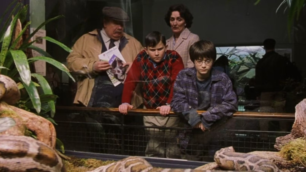 The Dursleys and Harry Potter watching a snake at London Zoo in The Philosopher's Stone