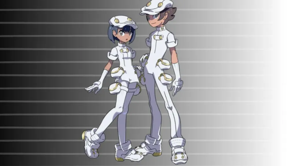 Aether Foundation in Pokemon