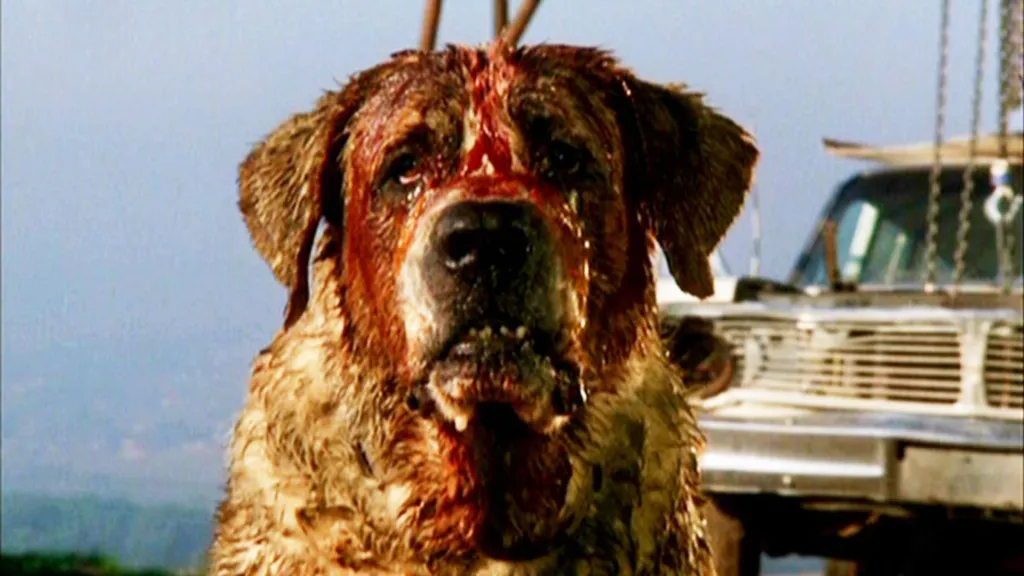 The dog from Stephen King's Cujo