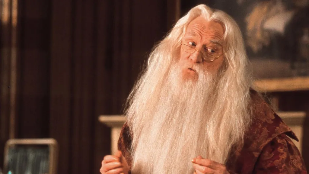Dumbledore in Harry Potter and the Sorcerer's Stone