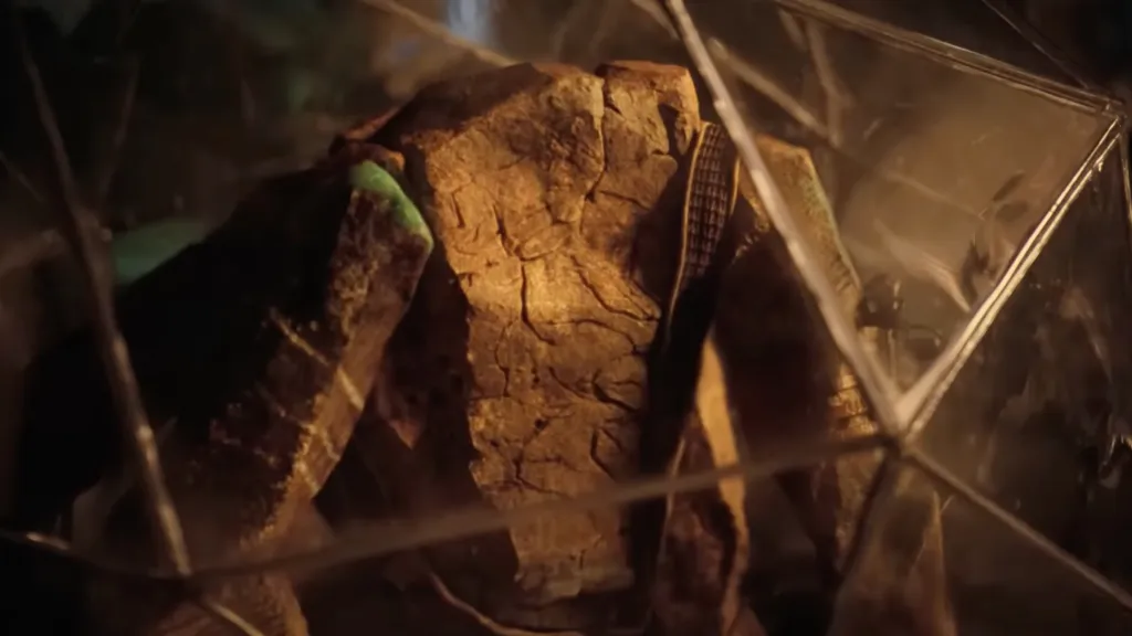 Rocky in Project Hail Mary