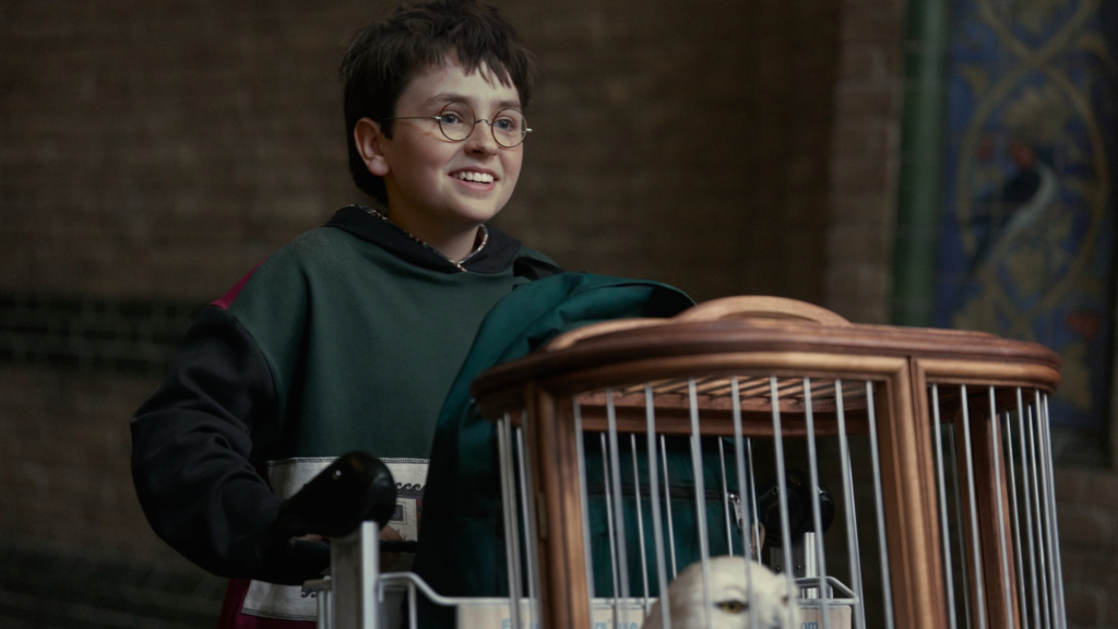 Harry Potter with Hedwig in The Philosopher's Stone TV show
