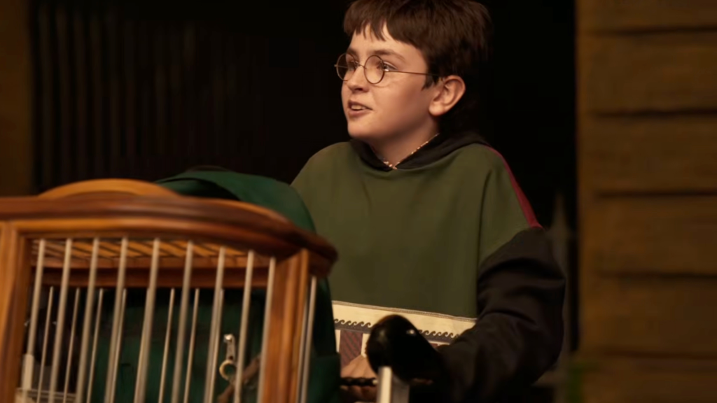 Dominic McLaughlin as Harry Potter in The Philosopher's Stone TV show
