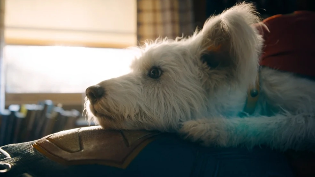 Krypto in Superman (2025)